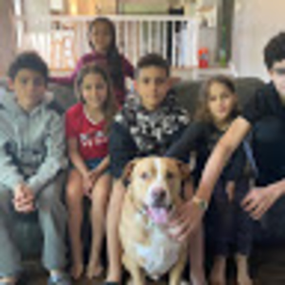 Meet your Posher, Kalada - Picture 1 of 1